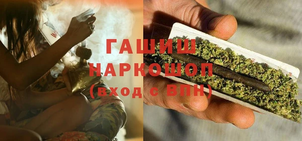прущий лед Бородино