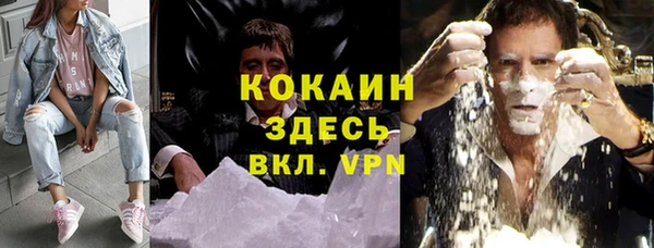прущий лед Бородино