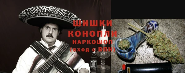 прущий лед Бородино