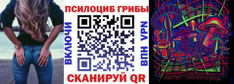 Галлюциногенные грибы GOLDEN TEACHER Мезень